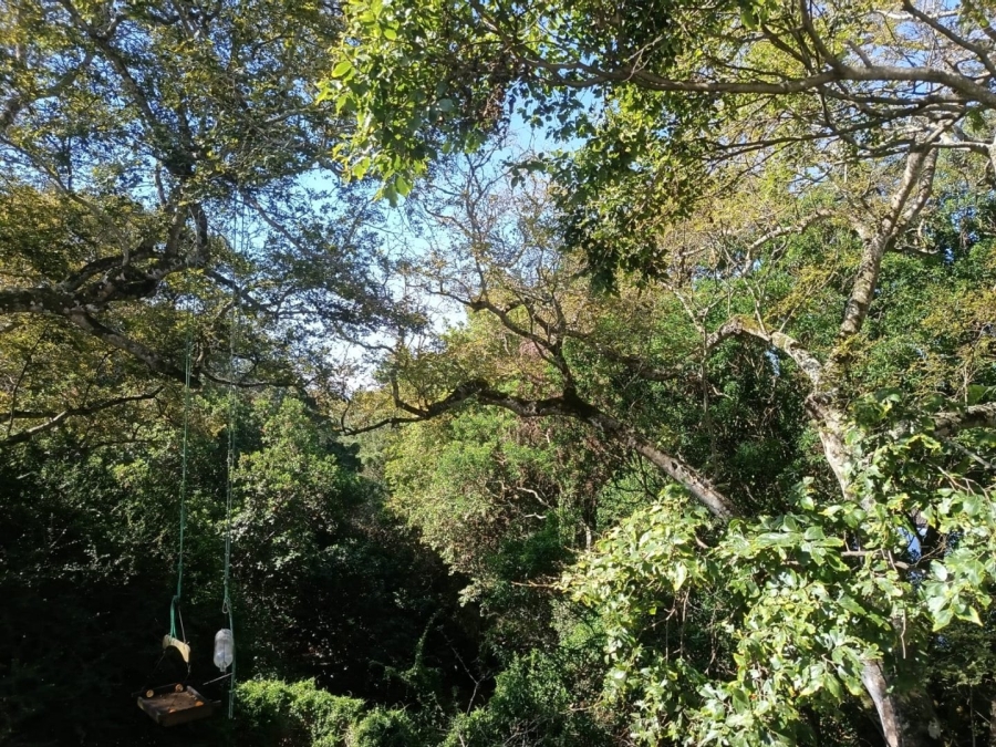 2 Bedroom Property for Sale in Brenton On Lake Western Cape